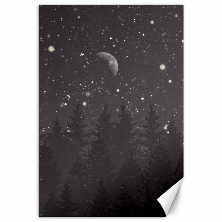 Night Full Star Canvas 12  x 18  