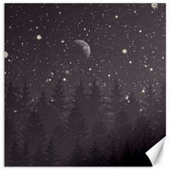 Night Full Star Canvas 16  X 16   by berwies