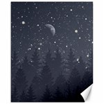 Night Full Star Canvas 16  x 20   15.75 x19.29  Canvas - 1