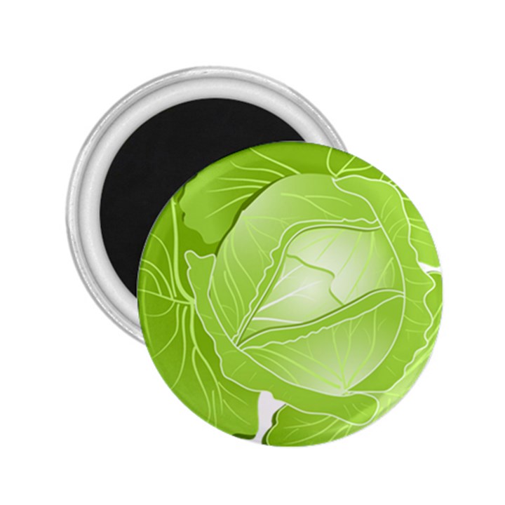 Cabbage Leaf Vegetable Green 2.25  Magnets