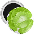 Cabbage Leaf Vegetable Green 3  Magnets Front