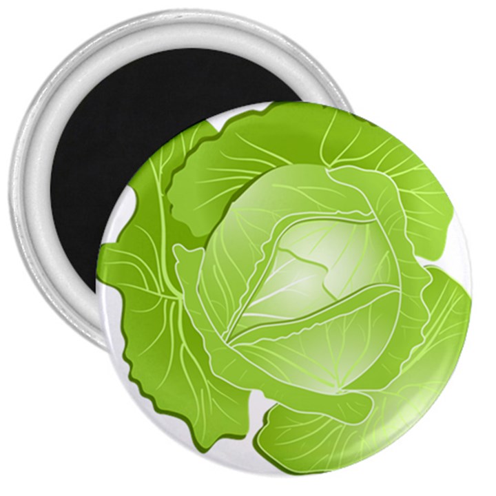 Cabbage Leaf Vegetable Green 3  Magnets