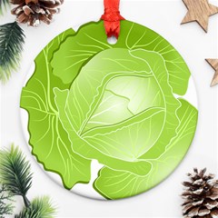 Cabbage Leaf Vegetable Green Ornament (round) by Mariart