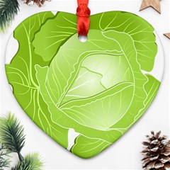 Cabbage Leaf Vegetable Green Ornament (heart) by Mariart