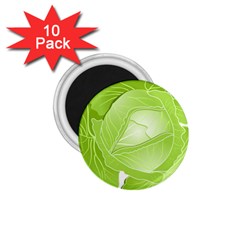 Cabbage Leaf Vegetable Green 1 75  Magnets (10 Pack) 