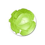 Cabbage Leaf Vegetable Green Magnet 3  (Round) Front