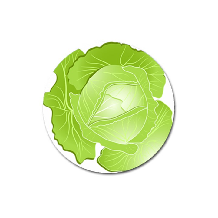 Cabbage Leaf Vegetable Green Magnet 3  (Round)