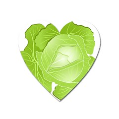 Cabbage Leaf Vegetable Green Heart Magnet