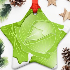 Cabbage Leaf Vegetable Green Star Ornament (two Sides) by Mariart