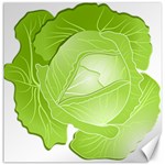 Cabbage Leaf Vegetable Green Canvas 12  x 12   11.4 x11.56  Canvas - 1