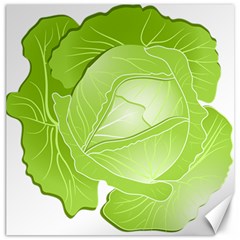 Cabbage Leaf Vegetable Green Canvas 16  X 16   by Mariart