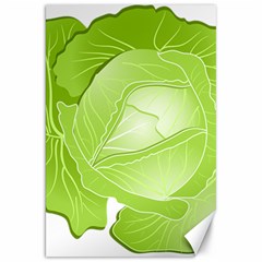 Cabbage Leaf Vegetable Green Canvas 20  X 30   by Mariart