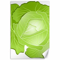 Cabbage Leaf Vegetable Green Canvas 24  X 36  by Mariart