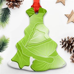 Cabbage Leaf Vegetable Green Ornament (christmas Tree)  by Mariart