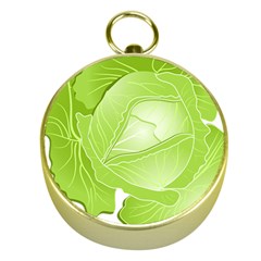 Cabbage Leaf Vegetable Green Gold Compasses by Mariart