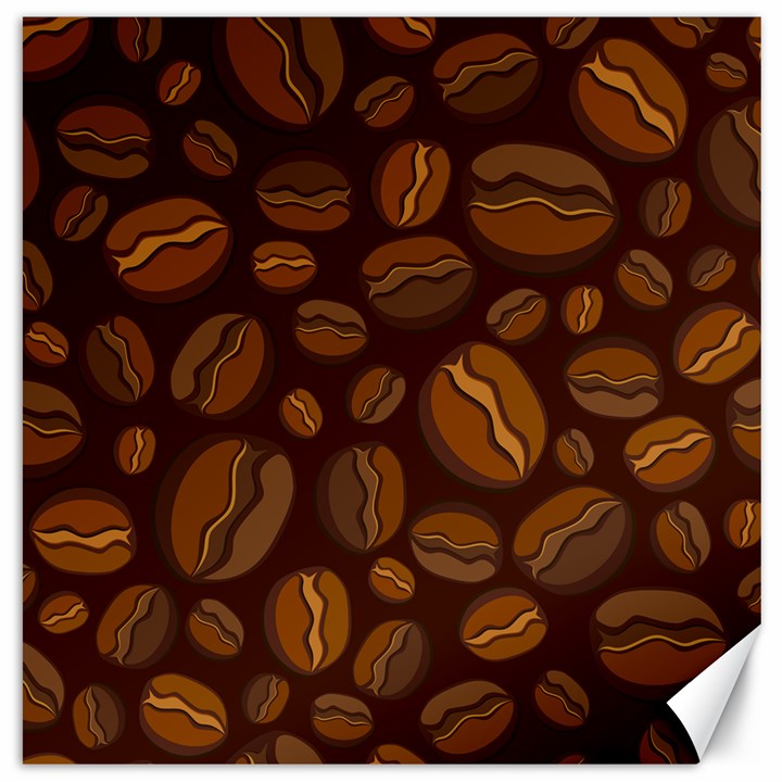 Coffee Beans Canvas 20  x 20  