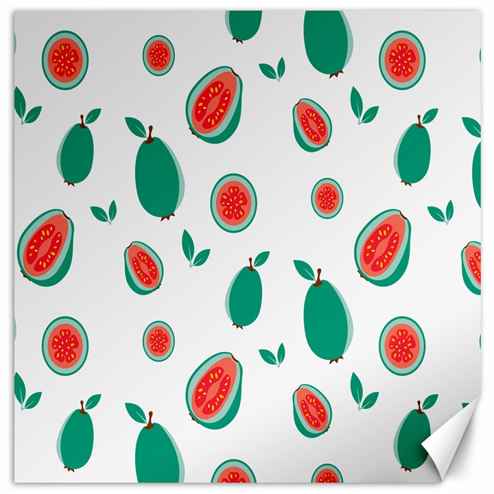 Fruit Green Red Guavas Leaf Canvas 12  x 12  