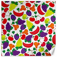 Fruite Watermelon Canvas 20  x 20  