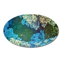 Fractal Formula Abstract Backdrop Oval Magnet