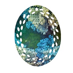 Fractal Formula Abstract Backdrop Ornament (Oval Filigree)