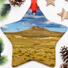 Patagonian Landscape Scene, Argentina Ornament (star) by dflcprints