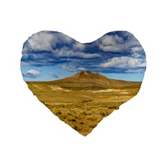 Patagonian Landscape Scene, Argentina Standard 16  Premium Heart Shape Cushions by dflcprints