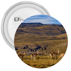 Group Of Vicunas At Patagonian Landscape, Argentina 3  Buttons by dflcprints