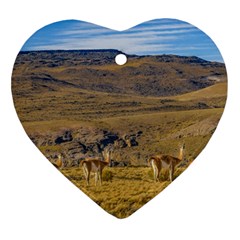 Group Of Vicunas At Patagonian Landscape, Argentina Ornament (heart) by dflcprints