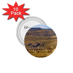 Group Of Vicunas At Patagonian Landscape, Argentina 1 75  Buttons (10 Pack) by dflcprints