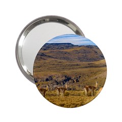 Group Of Vicunas At Patagonian Landscape, Argentina 2 25  Handbag Mirrors by dflcprints