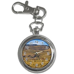 Group Of Vicunas At Patagonian Landscape, Argentina Key Chain Watches by dflcprints