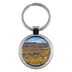 Group Of Vicunas At Patagonian Landscape, Argentina Key Chains (round)  by dflcprints