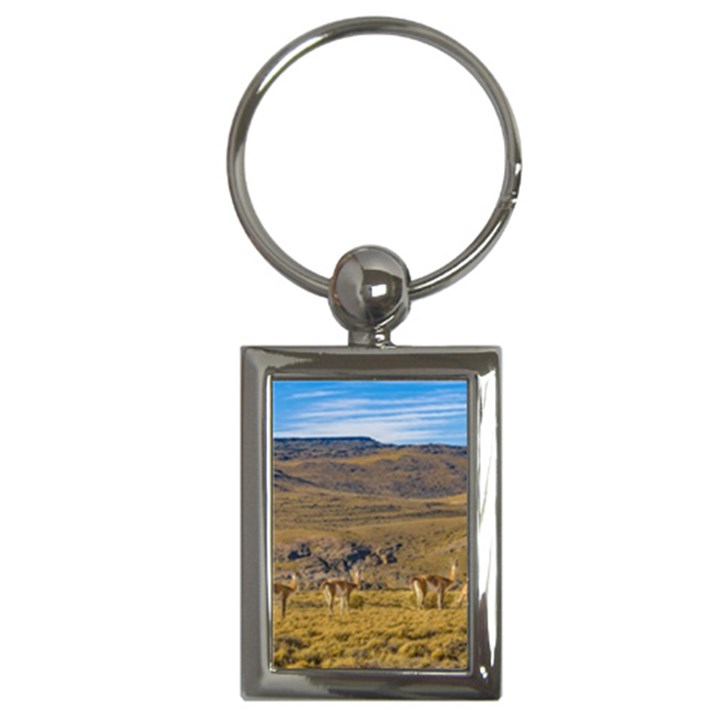 Group Of Vicunas At Patagonian Landscape, Argentina Key Chains (Rectangle) 