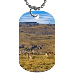 Group Of Vicunas At Patagonian Landscape, Argentina Dog Tag (one Side) by dflcprints