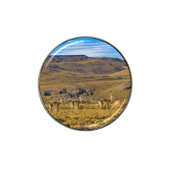 Group Of Vicunas At Patagonian Landscape, Argentina Hat Clip Ball Marker (4 pack)