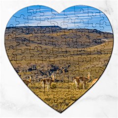 Group Of Vicunas At Patagonian Landscape, Argentina Jigsaw Puzzle (heart) by dflcprints