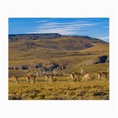 Group Of Vicunas At Patagonian Landscape, Argentina Small Glasses Cloth by dflcprints