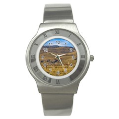 Group Of Vicunas At Patagonian Landscape, Argentina Stainless Steel Watch by dflcprints