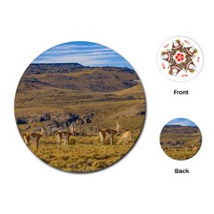 Group Of Vicunas At Patagonian Landscape, Argentina Playing Cards (round)  by dflcprints