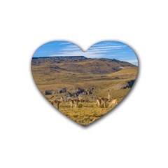 Group Of Vicunas At Patagonian Landscape, Argentina Rubber Coaster (heart)  by dflcprints