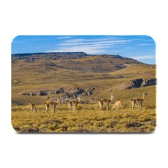 Group Of Vicunas At Patagonian Landscape, Argentina Plate Mats by dflcprints