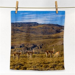 Group Of Vicunas At Patagonian Landscape, Argentina Face Towel by dflcprints