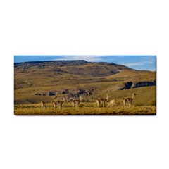 Group Of Vicunas At Patagonian Landscape, Argentina Cosmetic Storage Cases by dflcprints