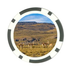 Group Of Vicunas At Patagonian Landscape, Argentina Poker Chip Card Guard (10 Pack) by dflcprints