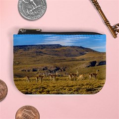 Group Of Vicunas At Patagonian Landscape, Argentina Mini Coin Purses by dflcprints