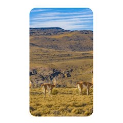 Group Of Vicunas At Patagonian Landscape, Argentina Memory Card Reader by dflcprints