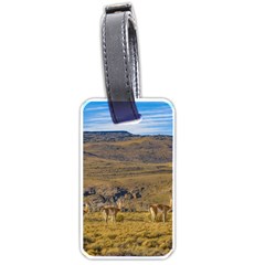 Group Of Vicunas At Patagonian Landscape, Argentina Luggage Tags (one Side)  by dflcprints