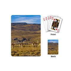 Group Of Vicunas At Patagonian Landscape, Argentina Playing Cards (mini)  by dflcprints