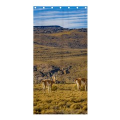 Group Of Vicunas At Patagonian Landscape, Argentina Shower Curtain 36  X 72  (stall)  by dflcprints