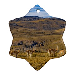 Group Of Vicunas At Patagonian Landscape, Argentina Ornament (snowflake) by dflcprints